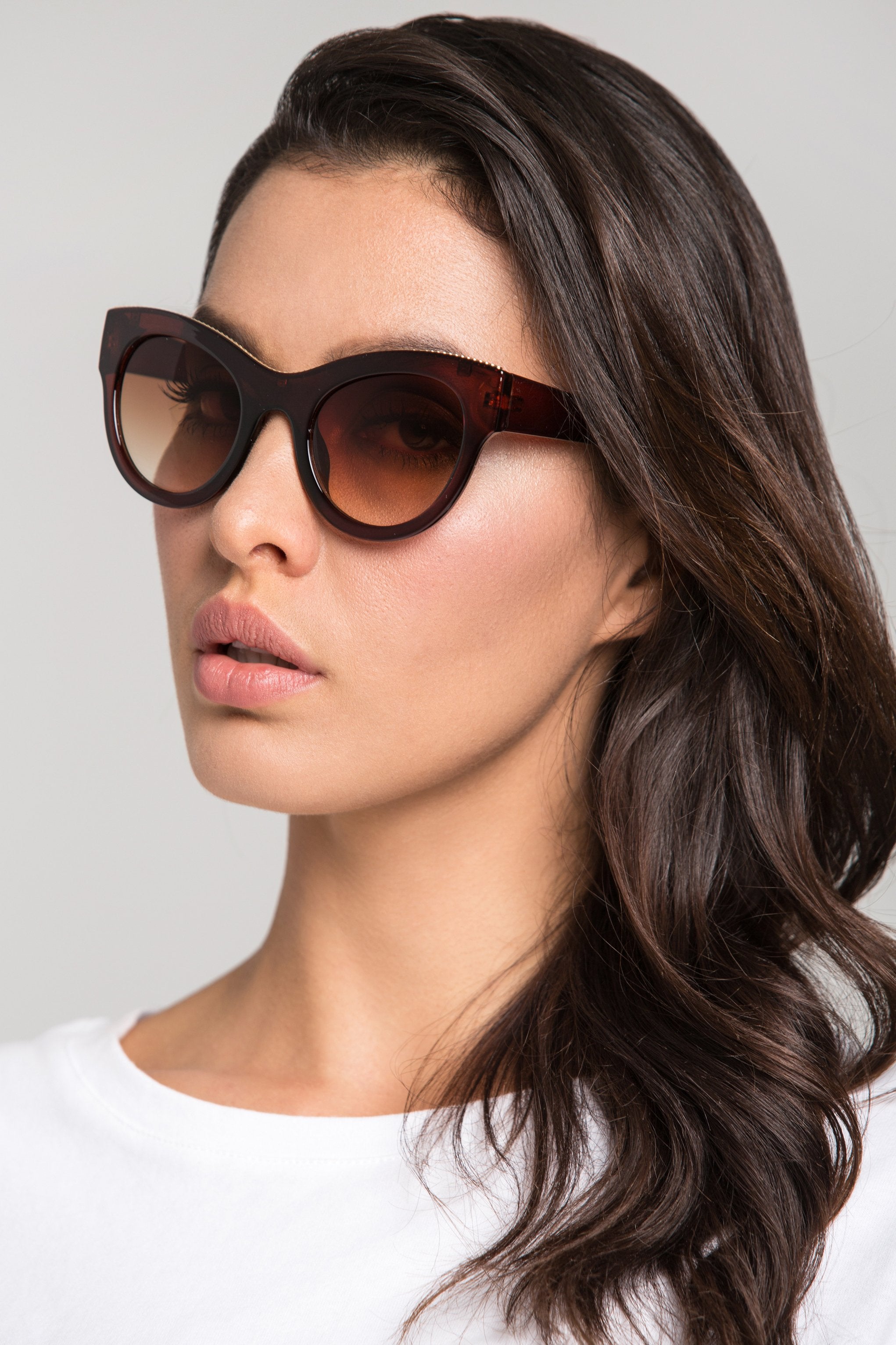 Brown Glossy Frame Cat Eye Sunglasses Brown Glossy Frame Cat Eye Sunglasses