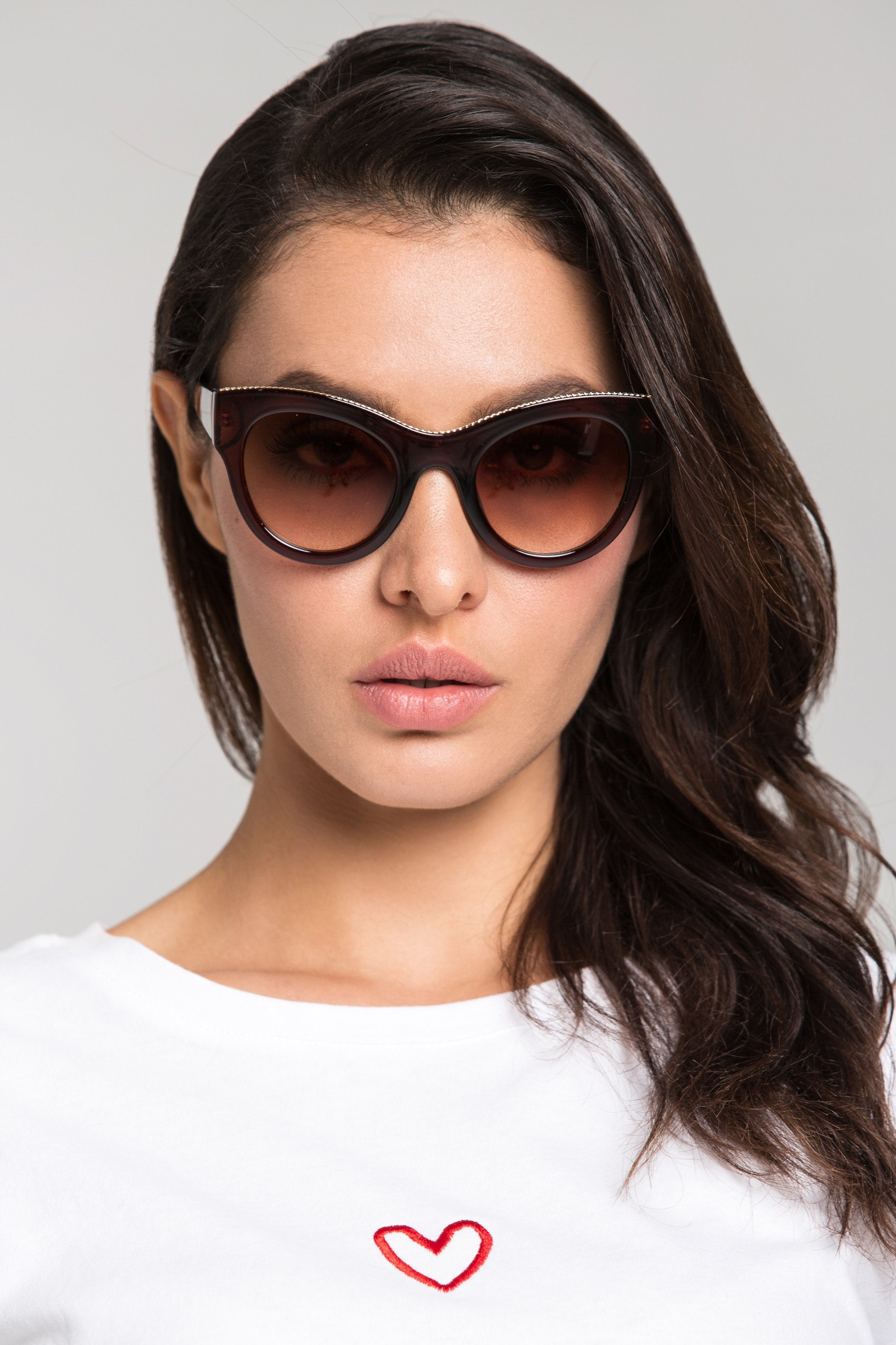 Brown Glossy Frame Cat Eye Sunglasses Brown Glossy Frame Cat Eye Sunglasses