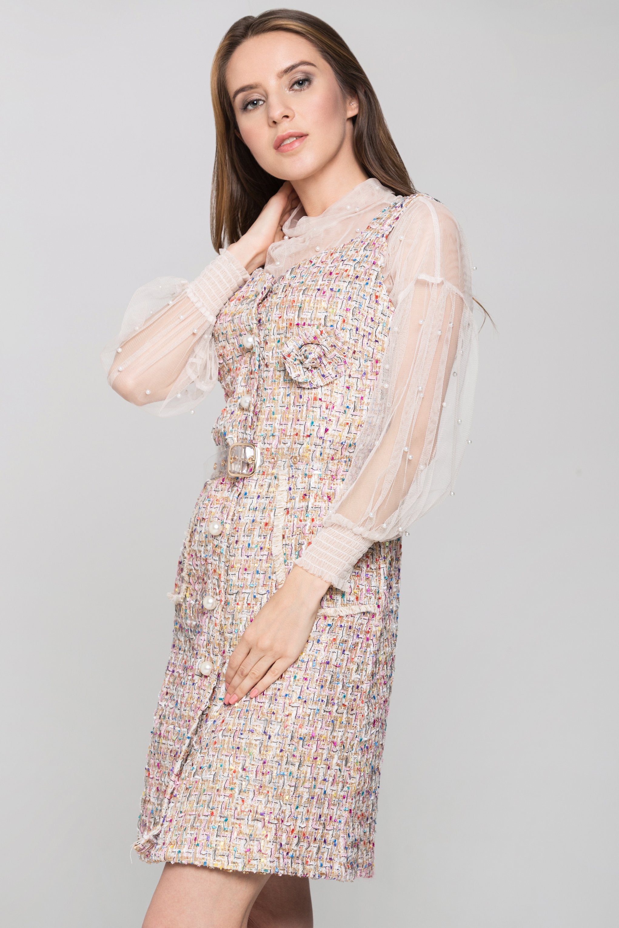 Confetti Tweed Sheer Sleeve Dress Set Confetti Tweed Sheer Sleeve Dress Set