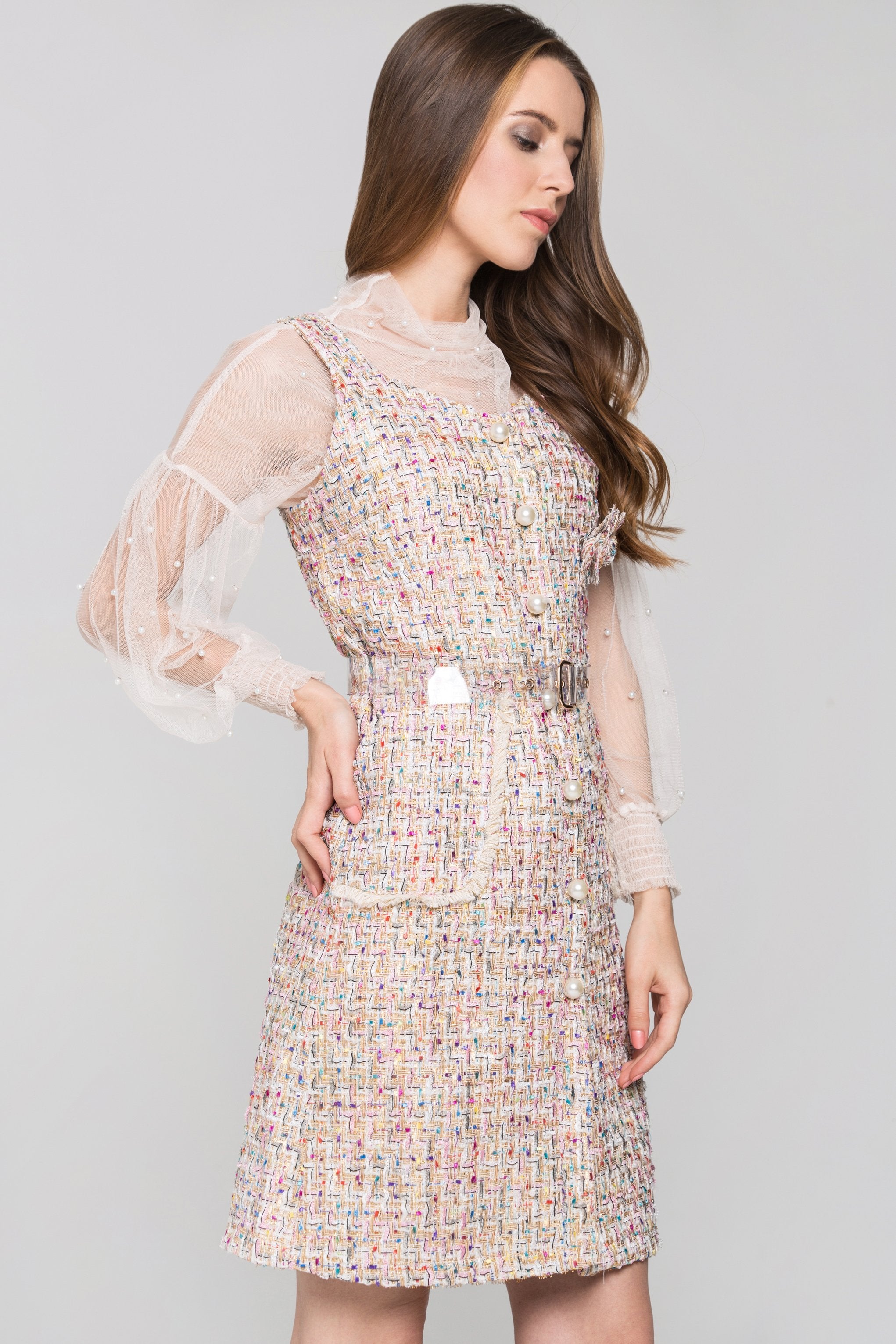 Confetti Tweed Sheer Sleeve Dress Set Confetti Tweed Sheer Sleeve Dress Set