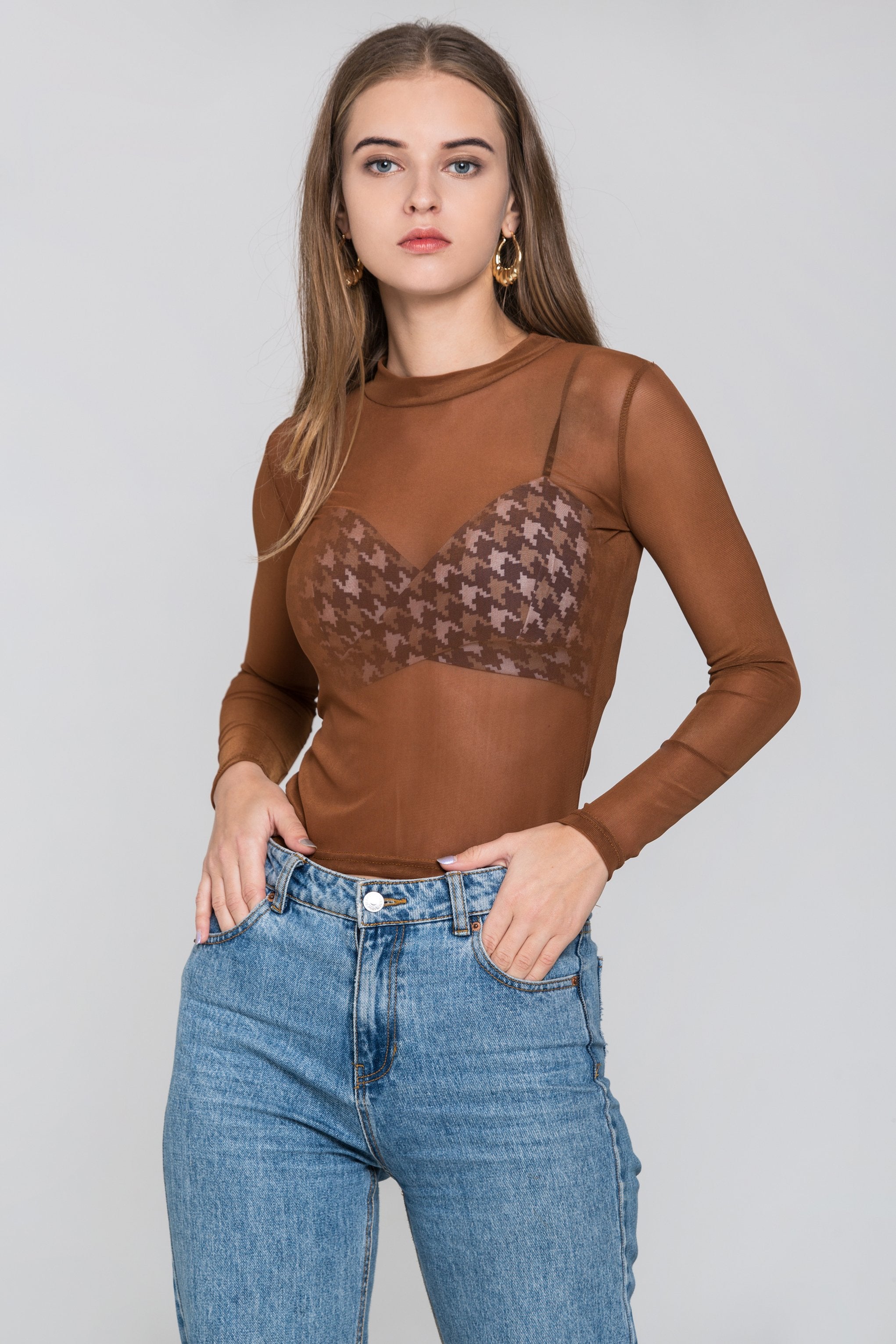 Brom Long Sleeves Sheer Top