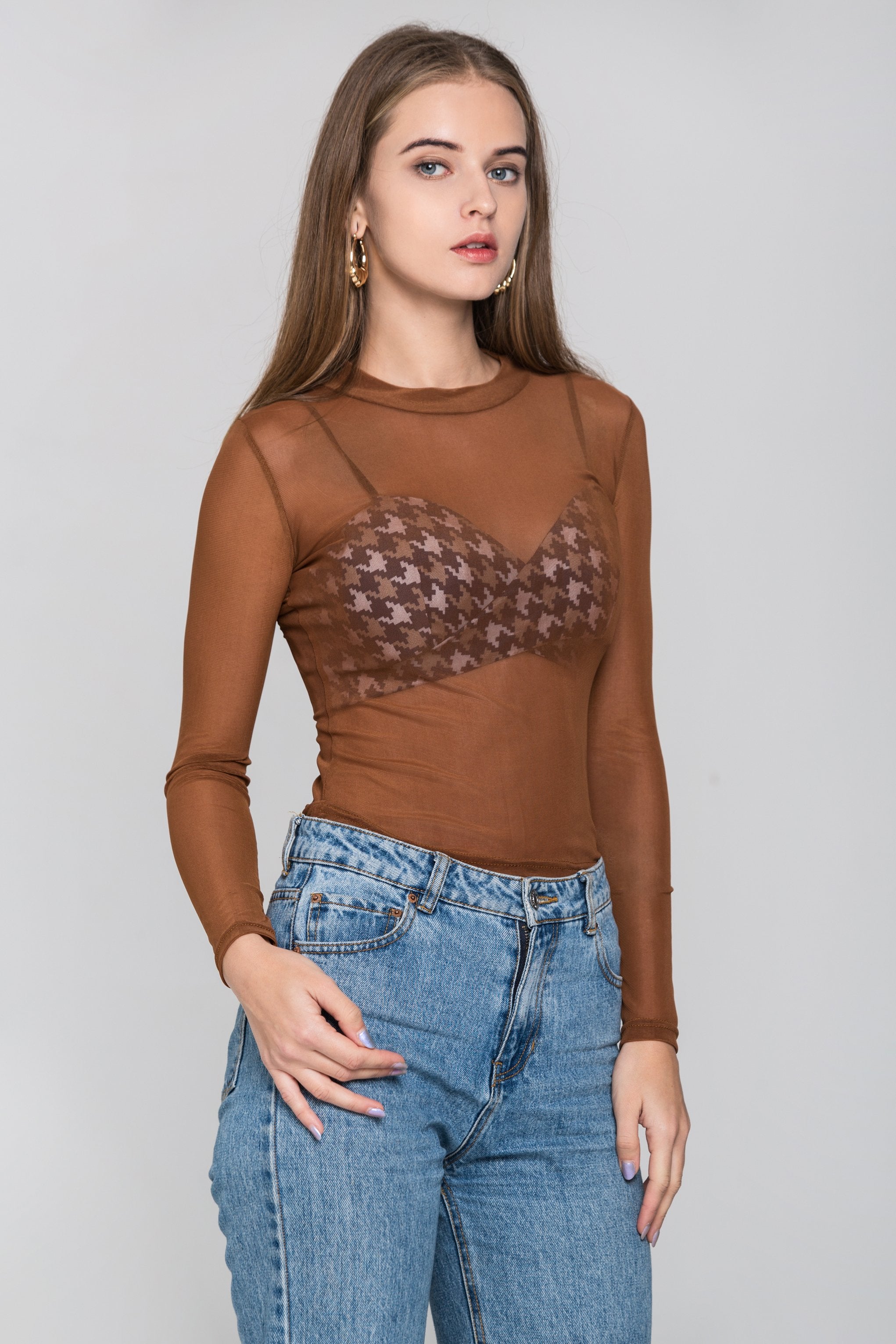 Brom Long Sleeves Sheer Top