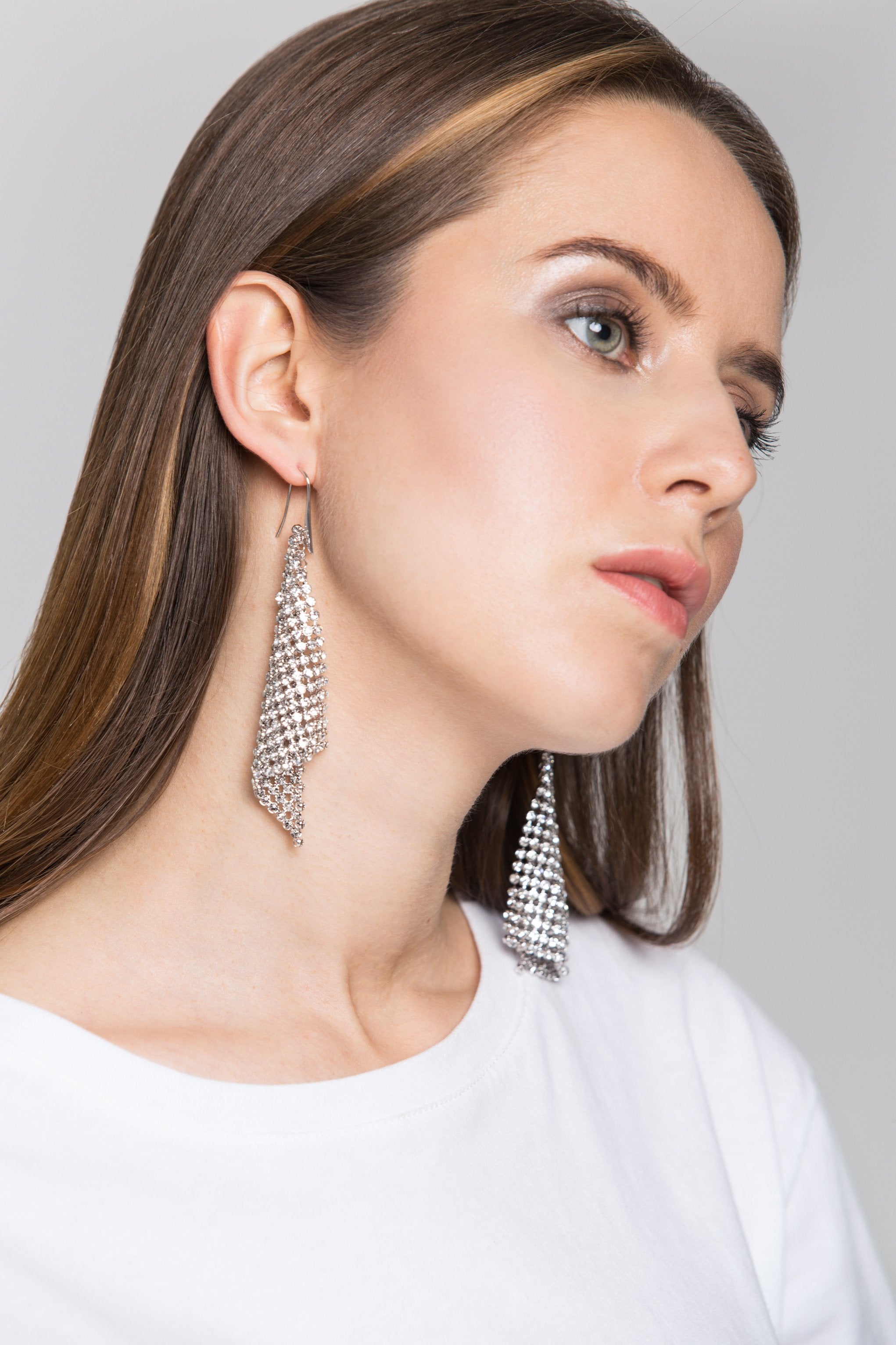 Silver Diamond Mesh Earrings