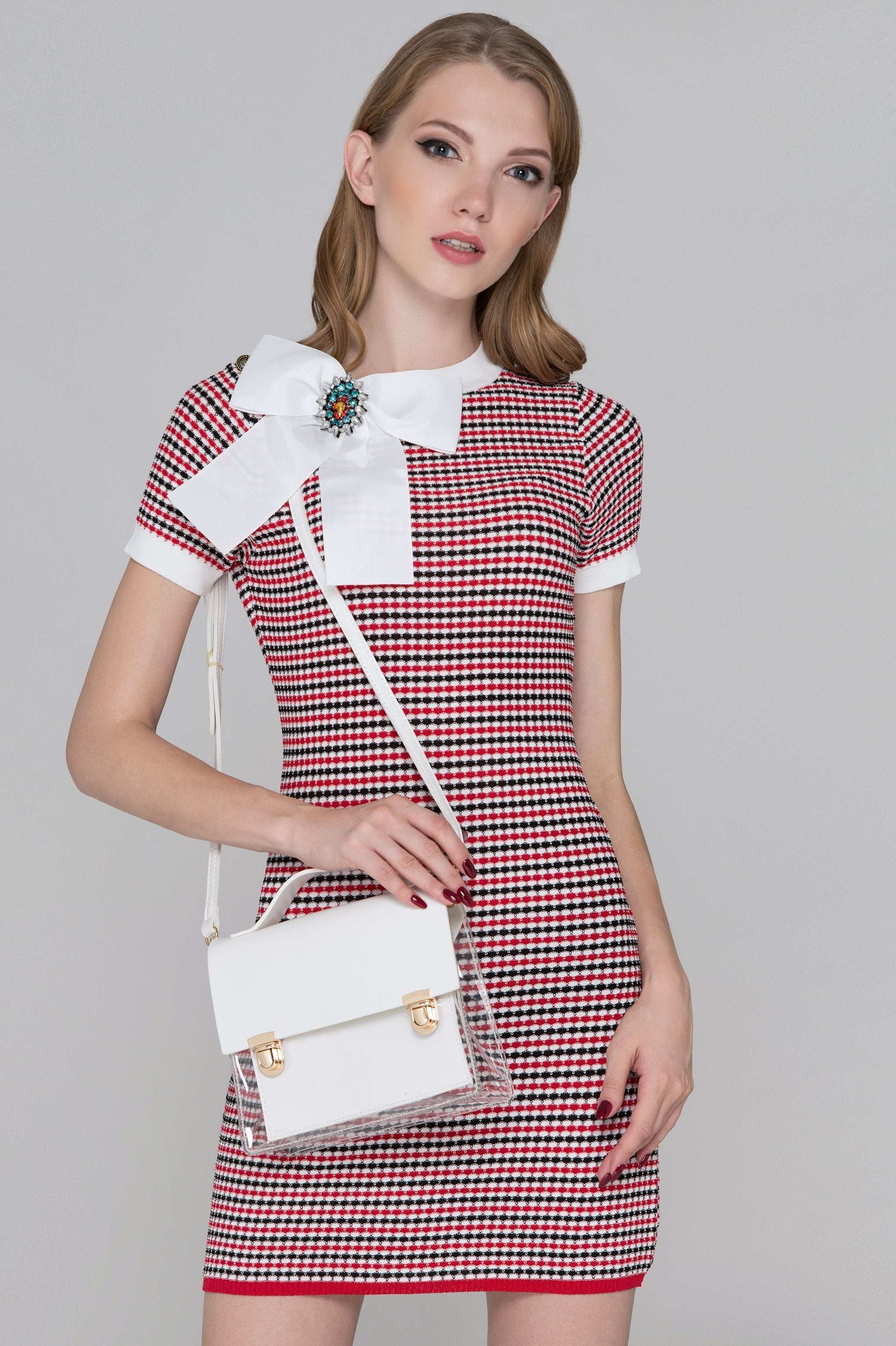 White Transparent Satchel